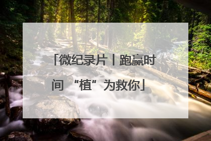 微纪录片丨跑赢时间 “植”为救你