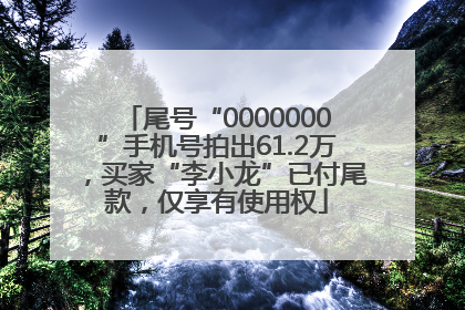 尾号“0000000”手机号拍出61.2万，买家“李小龙”已付尾款，仅享有使用权