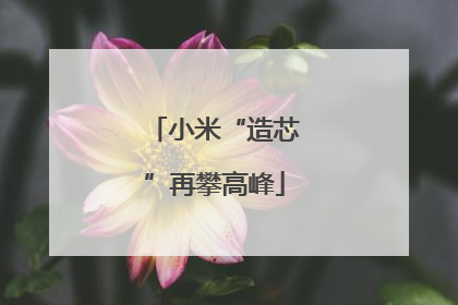 小米“造芯”再攀高峰