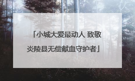 小城大爱最动人 致敬炎陵县无偿献血守护者