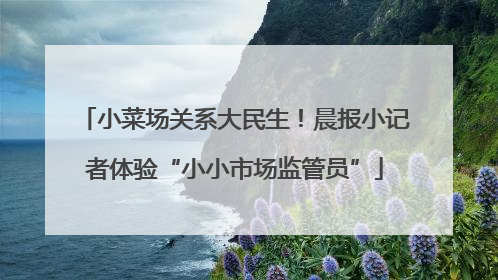 小菜场关系大民生！晨报小记者体验“小小市场监管员”