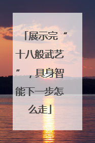 展示完“十八般武艺”，具身智能下一步怎么走