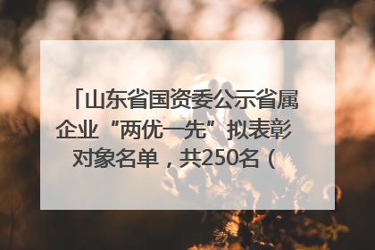 山东省国资委公示省属企业“两优一先”拟表彰对象名单，共250名（个）党员和党组织