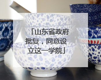 山东省政府批复，同意设立这一学院