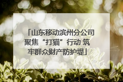 山东移动滨州分公司聚焦“打猫”行动 筑牢群众财产防护堤