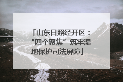 山东日照经开区：“四个聚焦”筑牢湿地保护司法屏障