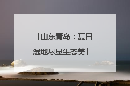 山东青岛：夏日湿地尽显生态美