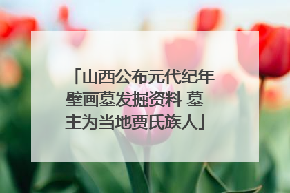 山西公布元代纪年壁画墓发掘资料 墓主为当地贾氏族人