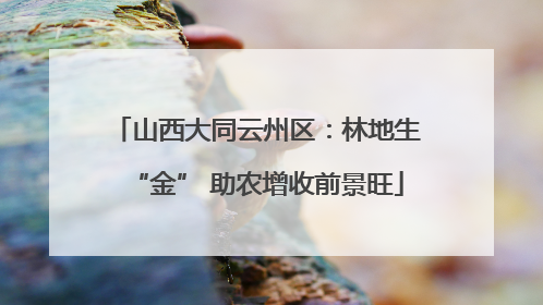 山西大同云州区：林地生“金” 助农增收前景旺