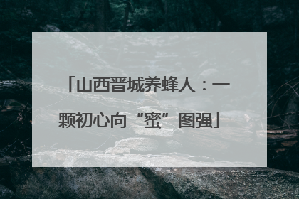 山西晋城养蜂人：一颗初心向“蜜”图强
