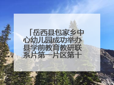 岳西县包家乡中心幼儿园成功举办县学前教育教研联系片第一片区第十三次专题研讨会