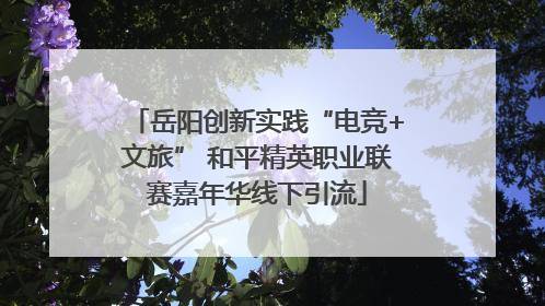 岳阳创新实践“电竞+文旅” 和平精英职业联赛嘉年华线下引流