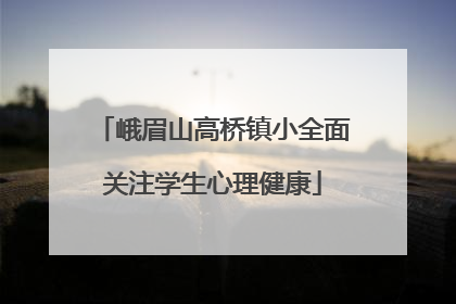 峨眉山高桥镇小全面关注学生心理健康