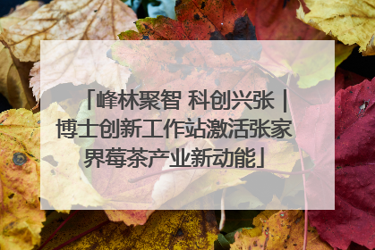 峰林聚智 科创兴张｜博士创新工作站激活张家界莓茶产业新动能