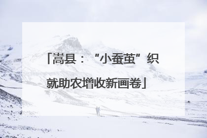 嵩县：“小蚕茧”织就助农增收新画卷