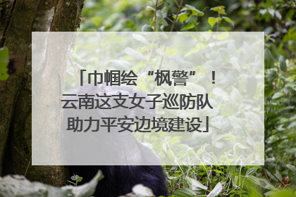 巾帼绘“枫警”！云南这支女子巡防队助力平安边境建设
