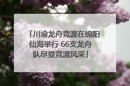 川渝龙舟竞渡在绵阳仙海举行 66支龙舟队尽显竞渡风采