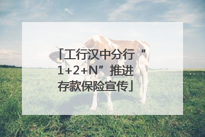 工行汉中分行“1+2+N”推进存款保险宣传