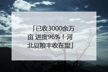 已收3000余万亩 进度96%！河北夏粮丰收在望