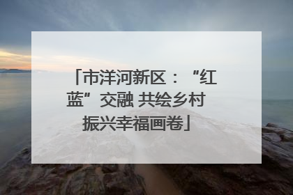 市洋河新区：“红蓝”交融 共绘乡村振兴幸福画卷