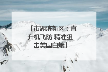 市湖滨新区：直升机飞防 精准狙击美国白蛾