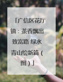 广信区花厅镇：茶香飘出致富路 绿水青山绘新篇（图）