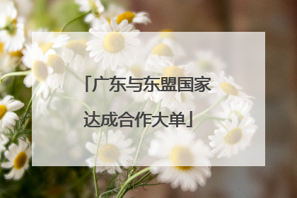 广东与东盟国家达成合作大单