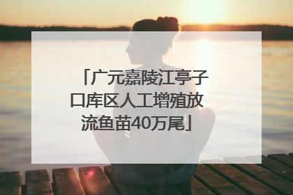 广元嘉陵江亭子口库区人工增殖放流鱼苗40万尾
