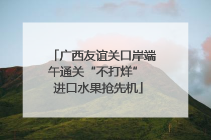 广西友谊关口岸端午通关“不打烊” 进口水果抢先机