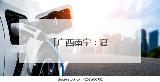 广西南宁：夏日路树果飘香