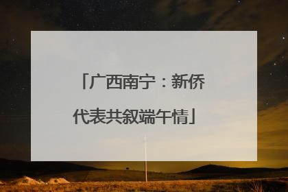 广西南宁：新侨代表共叙端午情