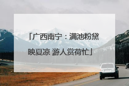 广西南宁：满池粉黛映夏凉 游人赏荷忙
