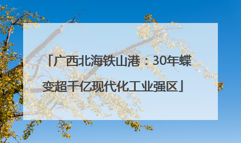 广西北海铁山港：30年蝶变超千亿现代化工业强区