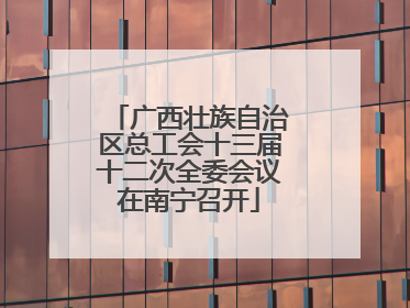 广西壮族自治区总工会十三届十二次全委会议在南宁召开
