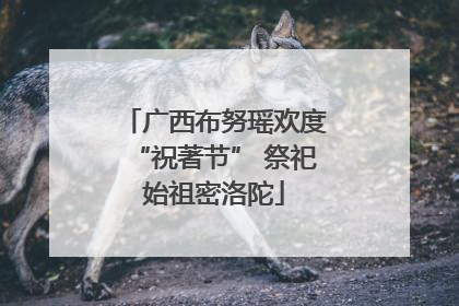 广西布努瑶欢度“祝著节” 祭祀始祖密洛陀