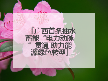 广西首条抽水蓄能“电力动脉”贯通 助力能源绿色转型