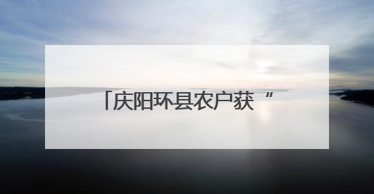 庆阳环县农户获“金融礼包” 普惠贷款助力产业升级
