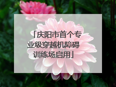 庆阳市首个专业级穿越机障碍训练场启用