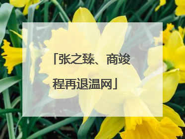 张之臻、商竣程再退温网