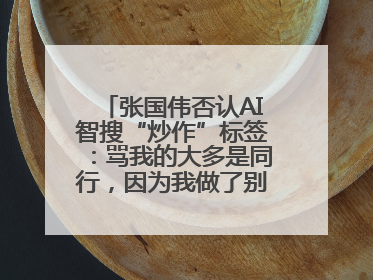 张国伟否认AI智搜“炒作”标签：骂我的大多是同行，因为我做了别人做不了的事