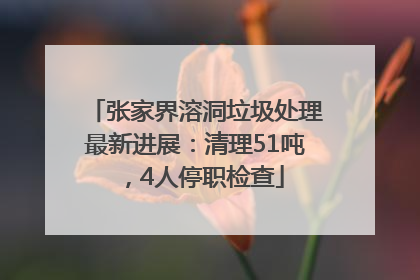 张家界溶洞垃圾处理最新进展：清理51吨，4人停职检查
