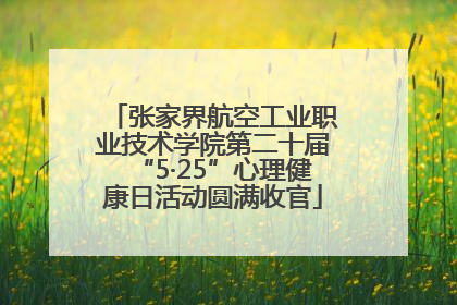 张家界航空工业职业技术学院第二十届“5·25”心理健康日活动圆满收官