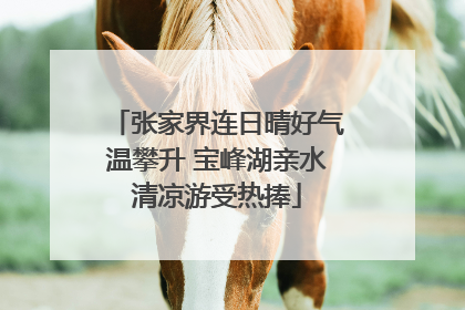 张家界连日晴好气温攀升 宝峰湖亲水清凉游受热捧