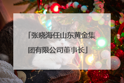 张晓海任山东黄金集团有限公司董事长