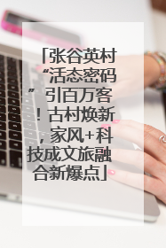 张谷英村“活态密码”引百万客！古村焕新，家风+科技成文旅融合新爆点