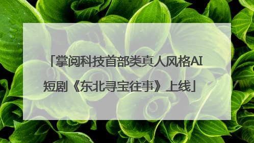 掌阅科技首部类真人风格AI短剧《东北寻宝往事》上线