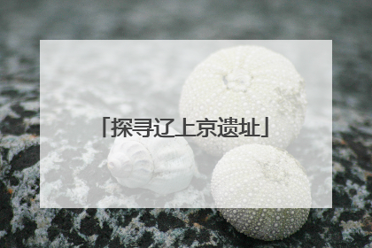 探寻辽上京遗址