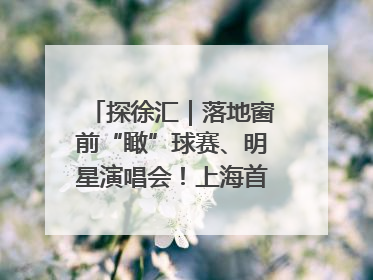 探徐汇｜落地窗前“瞰”球赛、明星演唱会！上海首家体育特色高端酒店亮相