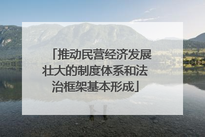 推动民营经济发展壮大的制度体系和法治框架基本形成