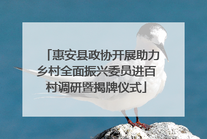 惠安县政协开展助力乡村全面振兴委员进百村调研暨揭牌仪式